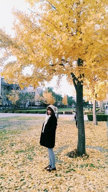 故都的秋拍摄脚本 故都的秋在取景上有什么特点