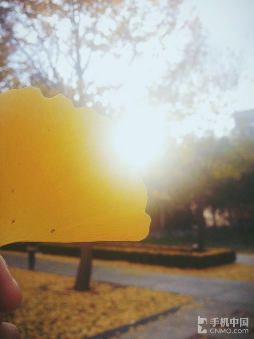 故都的秋拍摄脚本 故都的秋在取景上有什么特点