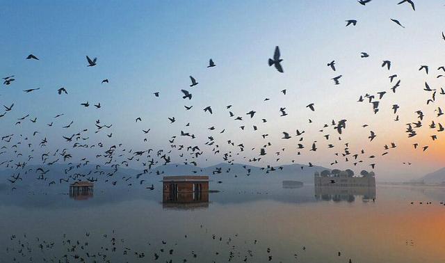 2020美国国家地理全球摄影大赛 美国国家地理摄影获奖作品