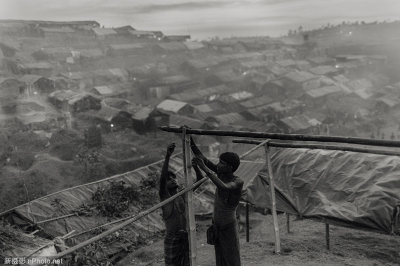 国际新闻摄影比赛 世界新闻摄影大赛获奖作品