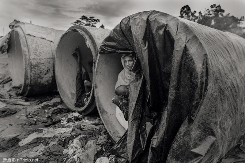 国际新闻摄影比赛 世界新闻摄影大赛获奖作品