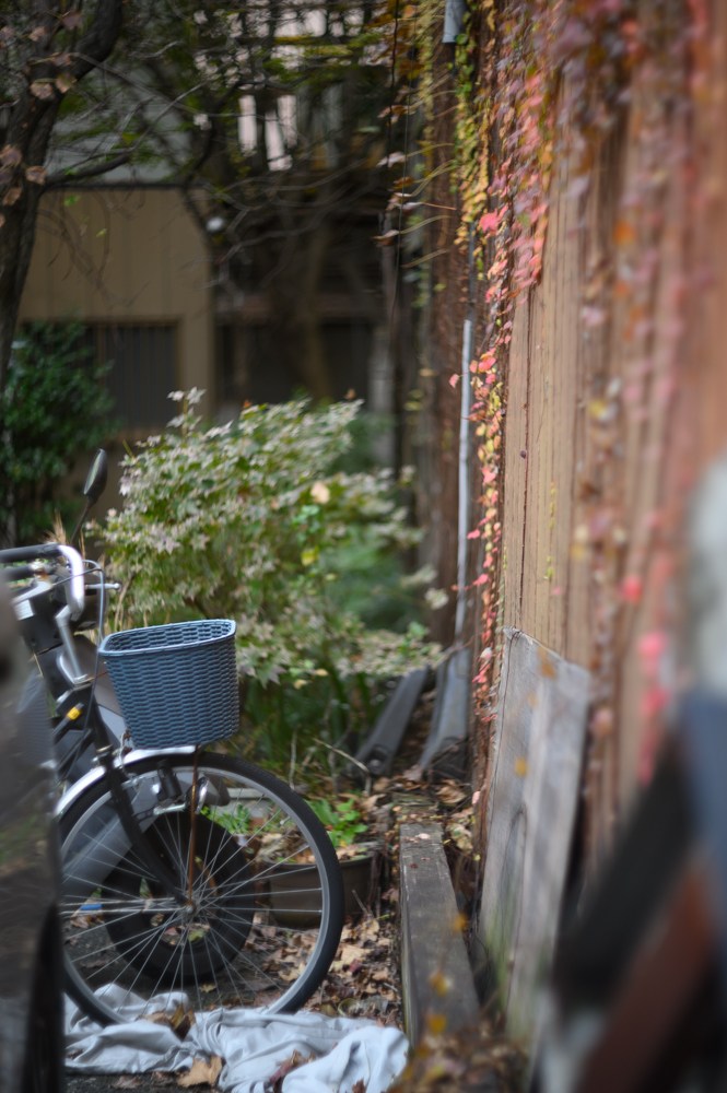 尼康z6转接镜头推荐 尼康z6转接环接其它镜头方便吗