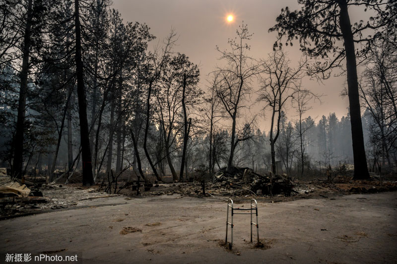 时代周刊 美国 2021美国时代周刊