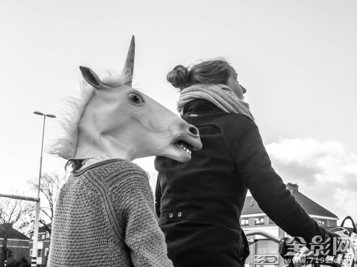 荷兰的趣事 荷兰活动图2