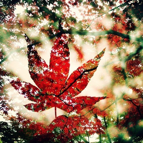 正方形 照片 正方型图型怎么画呢图3