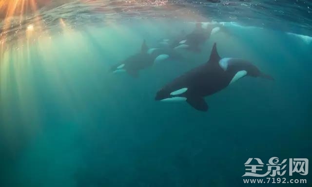 地平线以下是什么 地平线以下的国家