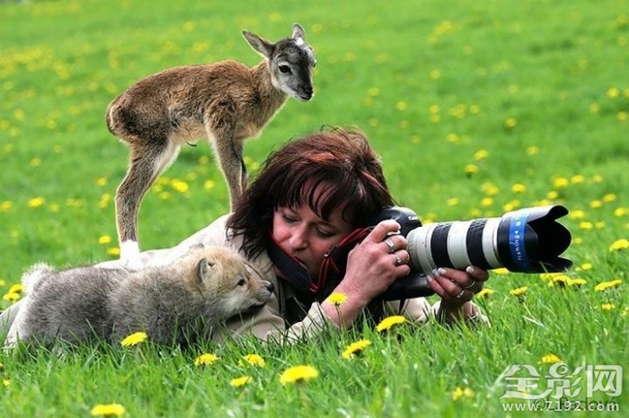 野生动物摄影师的艰辛 野生动物摄影大师