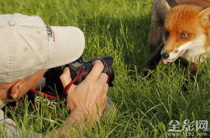 野生动物摄影师的艰辛 野生动物摄影大师