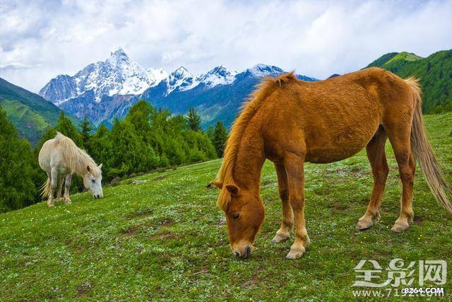 户外摄影的图片 户外摄影一般都用什么模式图2