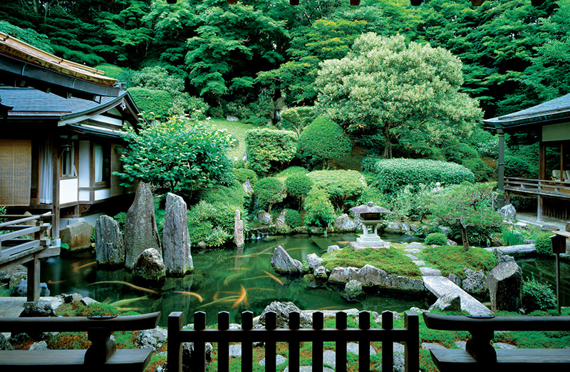 广告摄影大师 广告片摄影师