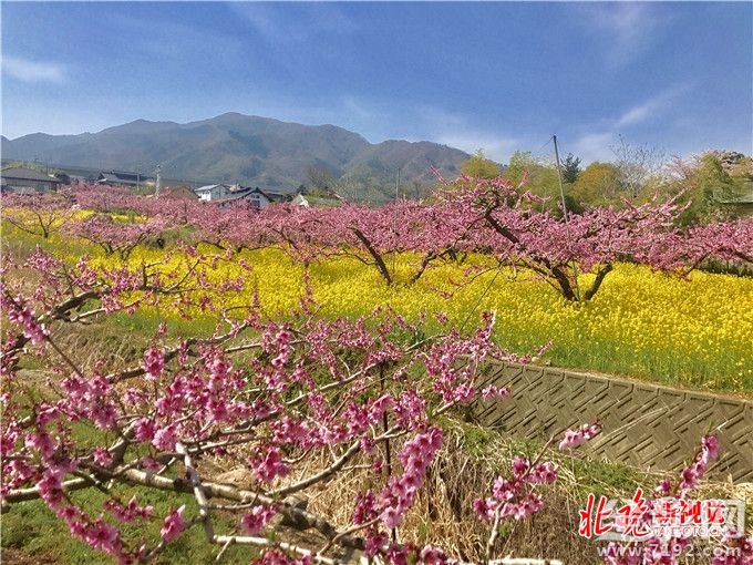 从菜鸟到摄影师,你需要做什么准备 摄影小白到摄影师需要多长时间-图1