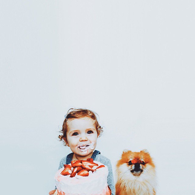 情侣宝宝和宠物冲突么 宝宝与宠物合照图片