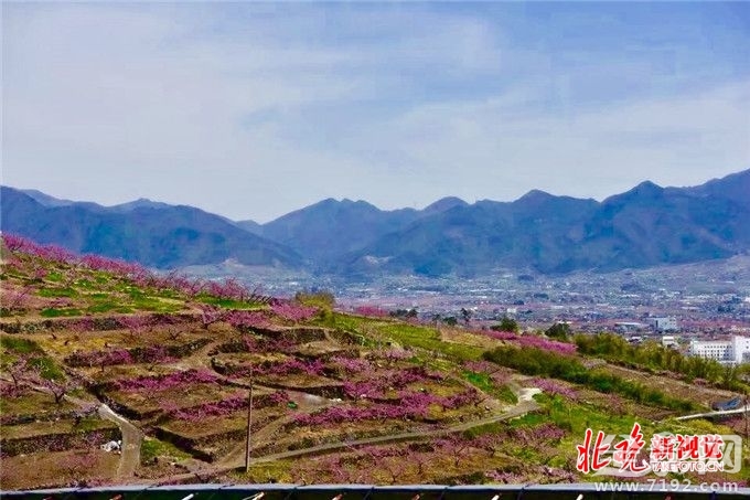 从菜鸟到摄影师,你需要做什么准备 摄影小白到摄影师需要多长时间-图2