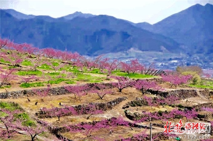 从菜鸟到摄影师,你需要做什么准备 摄影小白到摄影师需要多长时间-图3