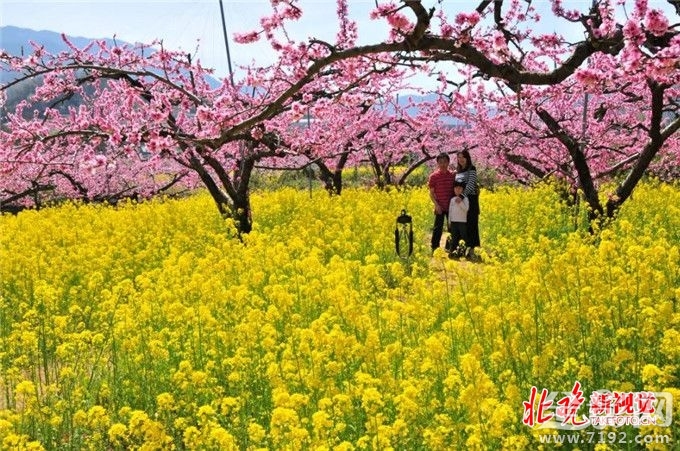 从菜鸟到摄影师,你需要做什么准备 摄影小白到摄影师需要多长时间-