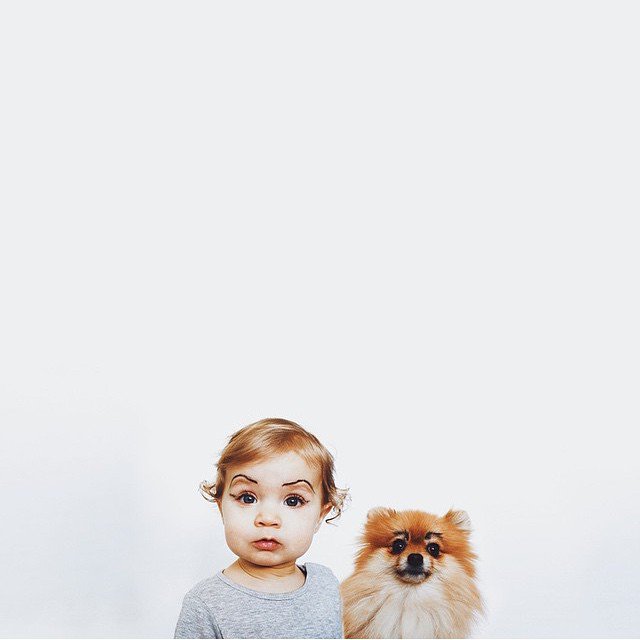 情侣宝宝和宠物冲突么 宝宝与宠物合照图片