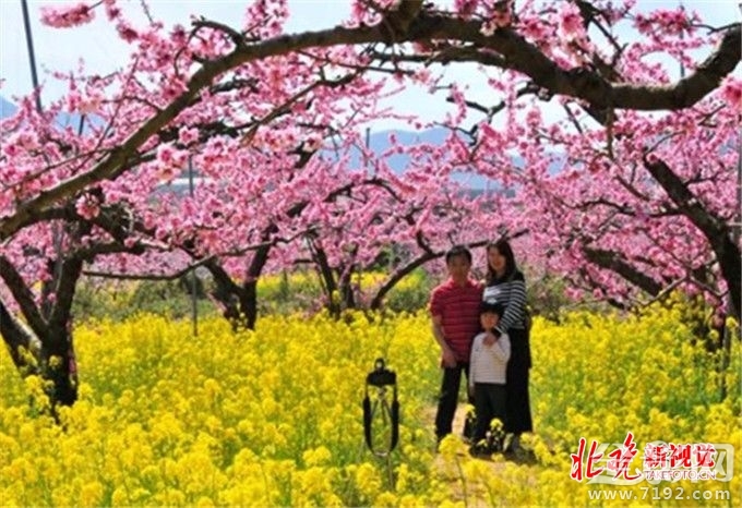 从菜鸟到摄影师,你需要做什么准备 摄影小白到摄影师需要多长时间-