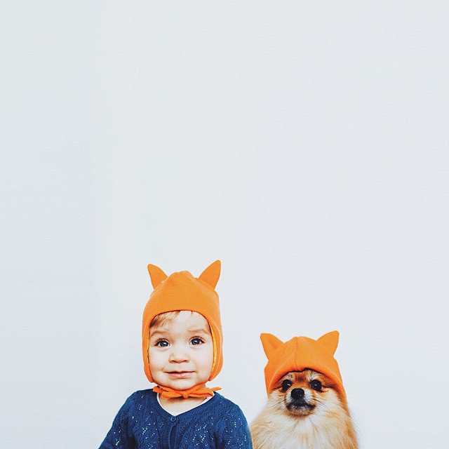 情侣宝宝和宠物冲突么 宝宝与宠物合照图片