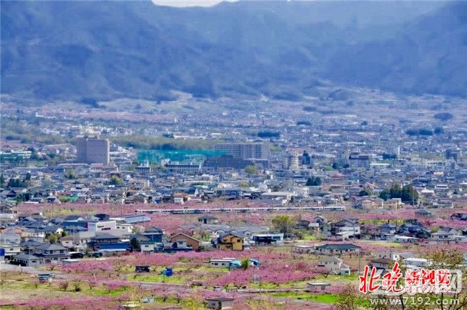 从菜鸟到摄影师,你需要做什么准备 摄影小白到摄影师需要多长时间-