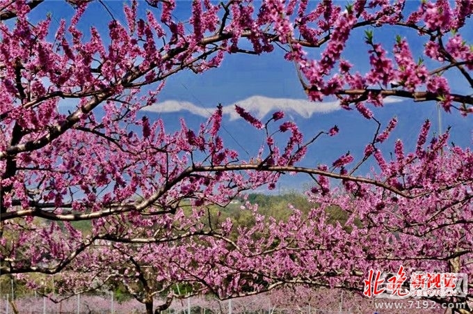 从菜鸟到摄影师,你需要做什么准备 摄影小白到摄影师需要多长时间-