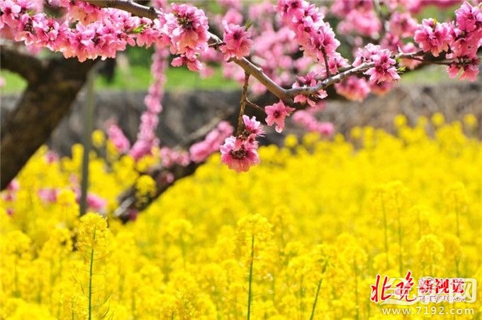 从菜鸟到摄影师,你需要做什么准备 摄影小白到摄影师需要多长时间-