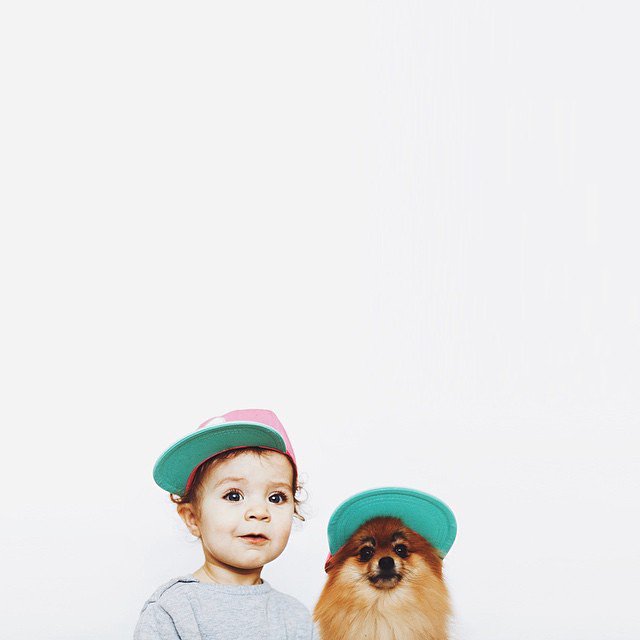 情侣宝宝和宠物冲突么 宝宝与宠物合照图片