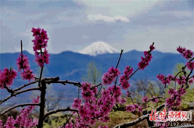 从菜鸟到摄影师,你需要做什么准备 摄影小白到摄影师需要多长时间-