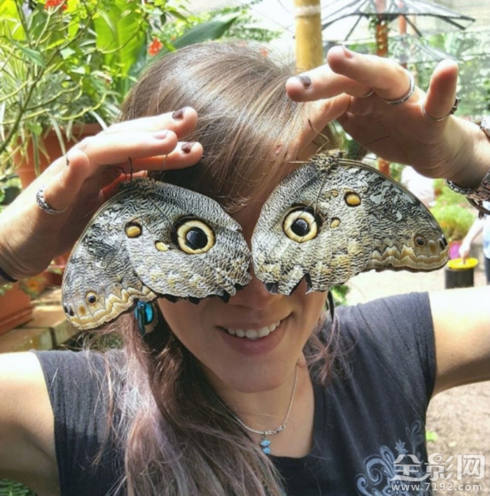 虫子往脸上飞 满脸都是虫子的视频图1