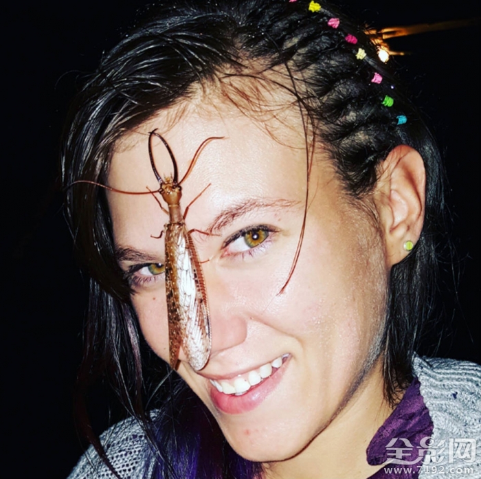 虫子往脸上飞 满脸都是虫子的视频图2