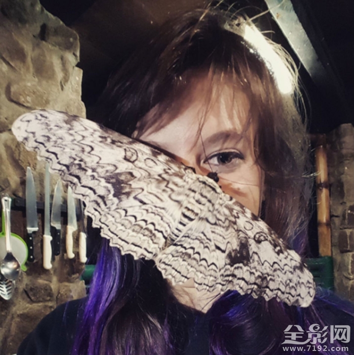 虫子往脸上飞 满脸都是虫子的视频图3