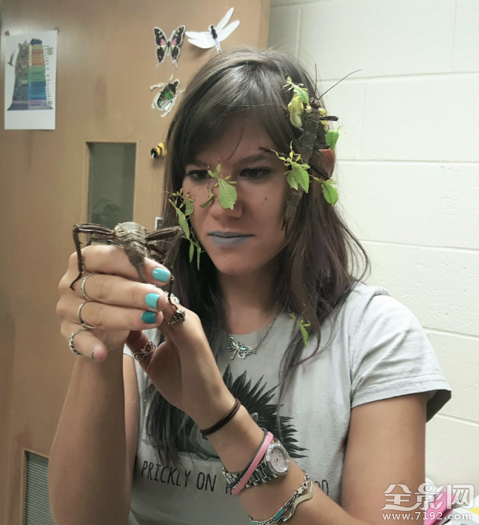 虫子往脸上飞 满脸都是虫子的视频