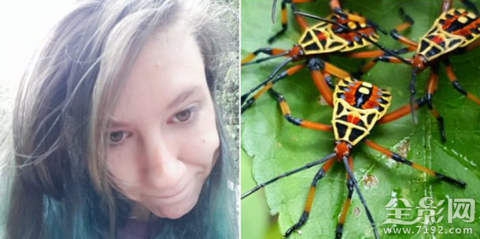 虫子往脸上飞 满脸都是虫子的视频