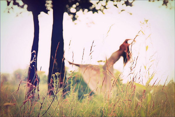 梦幻之境主题 幻梦之境攻略图1