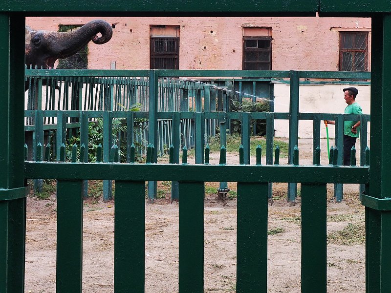 生活中的奇趣视角 街头中的抽象几何故事 生活中的抽象图形