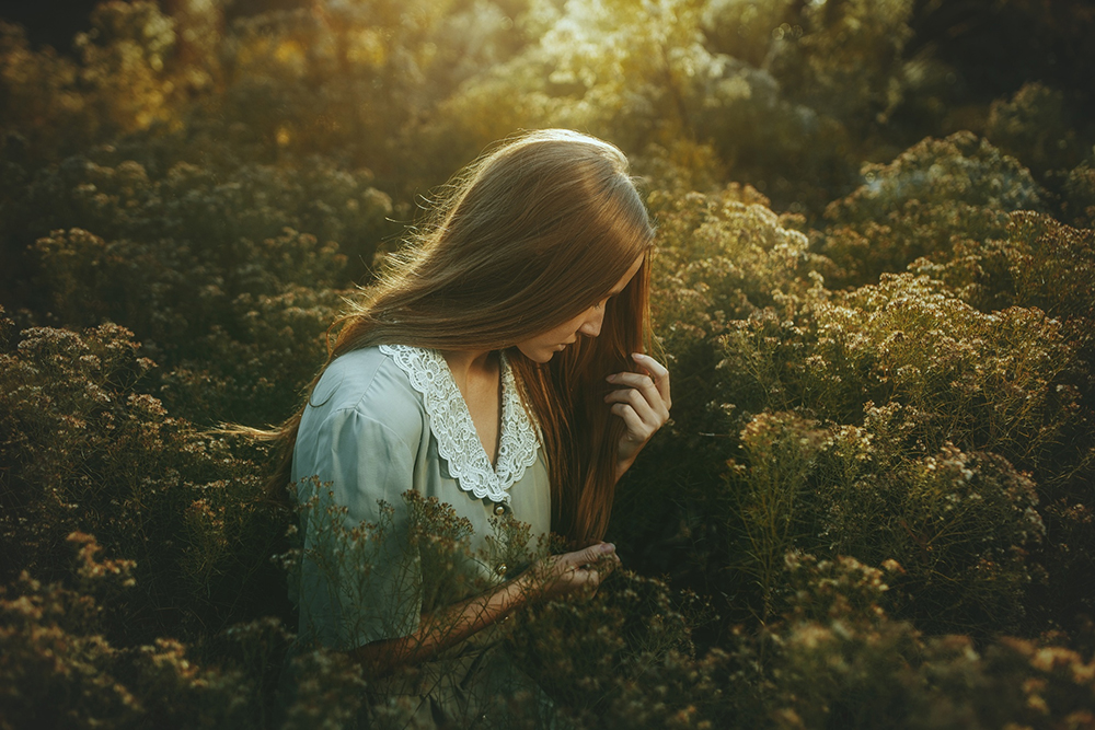 摄影无非是另一种讲故事的方式英语 摄影是另一种阅读图1