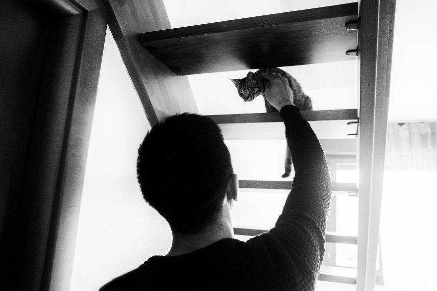 黑白摄影猫 黑白配的猫叫什么名比较好