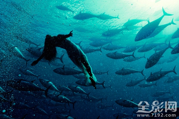 日本水族馆金枪鱼撞死 日本钓金枪鱼纪录片图2