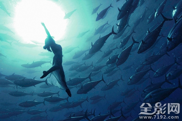 日本水族馆金枪鱼撞死 日本钓金枪鱼纪录片图3