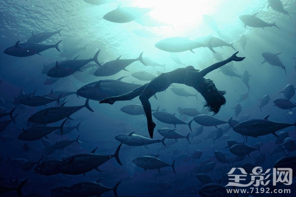 日本水族馆金枪鱼撞死 日本钓金枪鱼纪录片