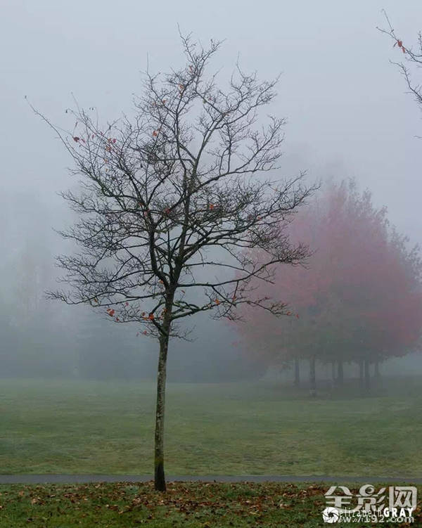 构图在创作中的运用 构图在绘画中的作用是什么图2