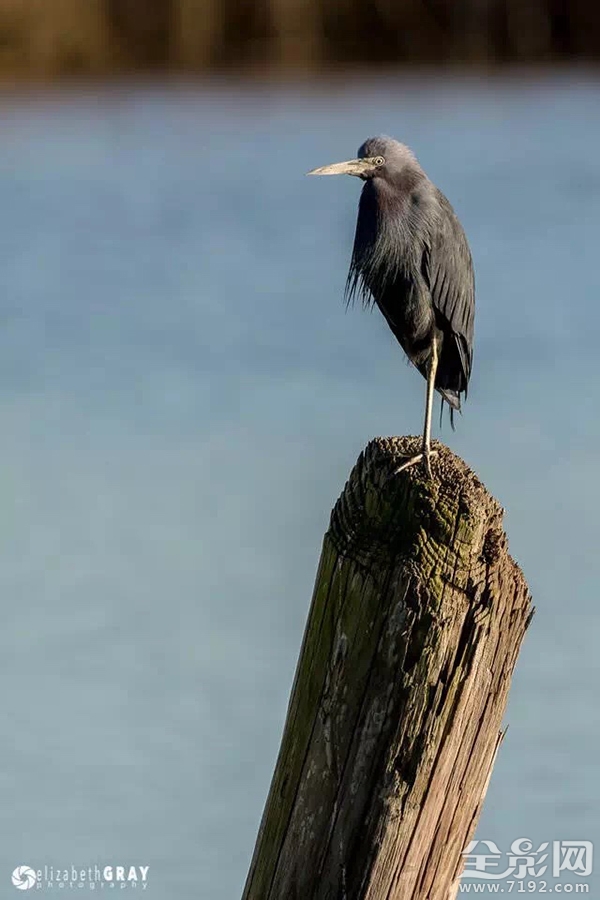 构图在创作中的运用 构图在绘画中的作用是什么图3