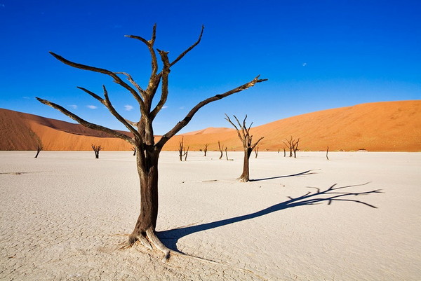 一生必去的世界50个地方 一生当中必去的55个美景之一图1