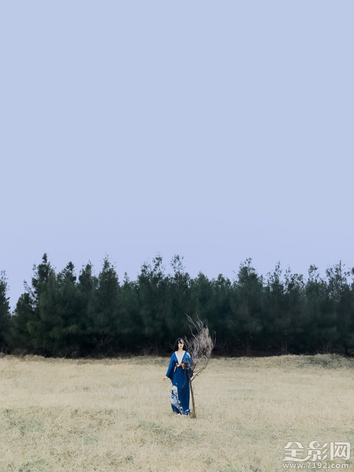 野百合叫什么名字 野百合象征着什么意思