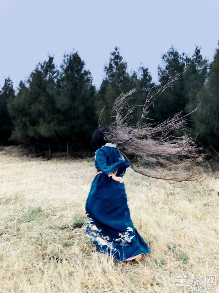 野百合叫什么名字 野百合象征着什么意思