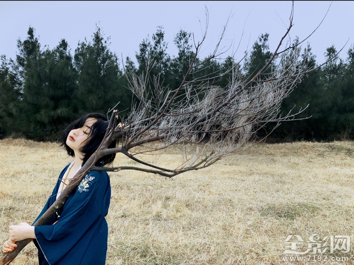 野百合叫什么名字 野百合象征着什么意思