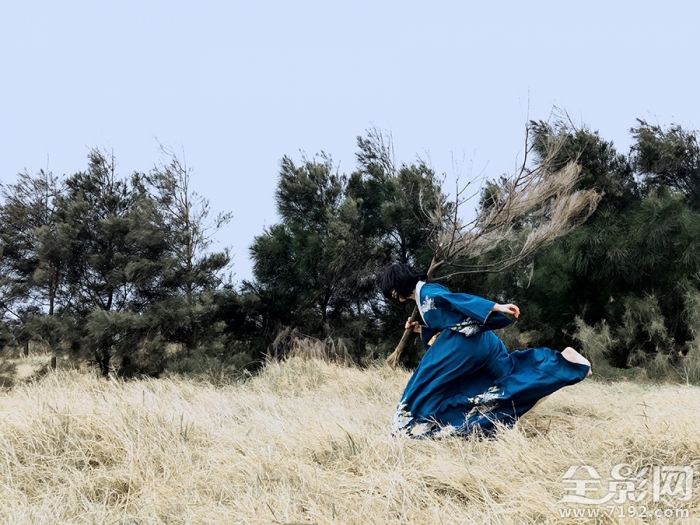 野百合叫什么名字 野百合象征着什么意思