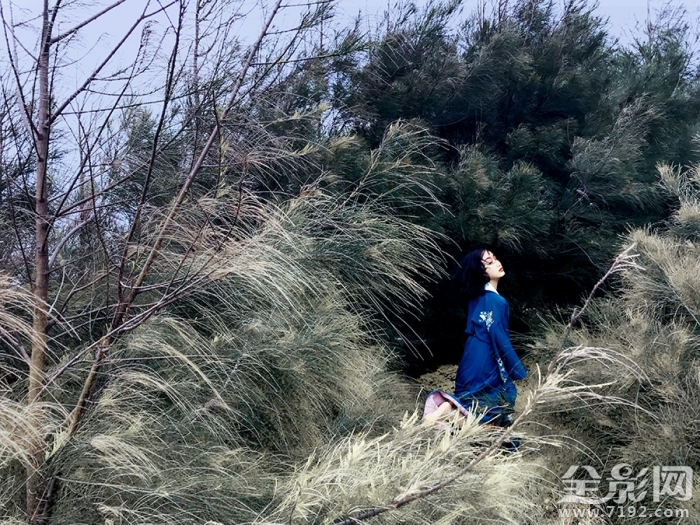 野百合叫什么名字 野百合象征着什么意思