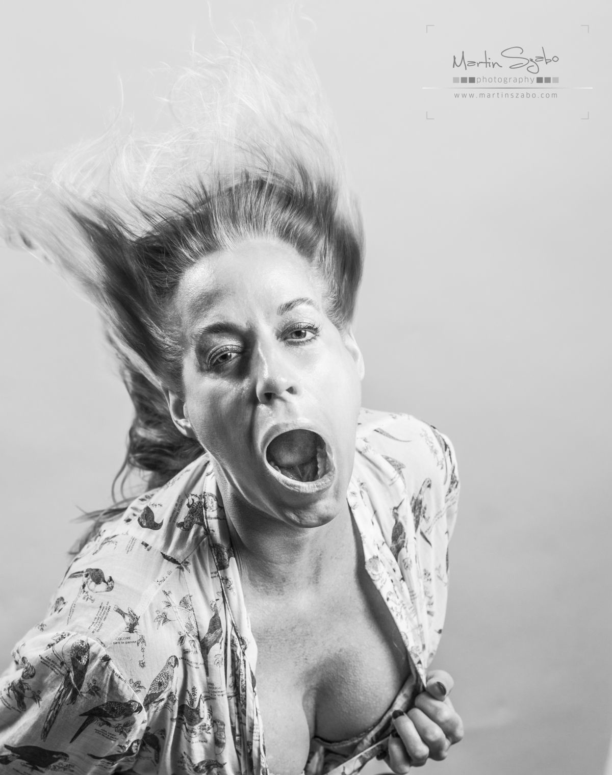 看完这些风中肖像,你还会爱吗作文 风中的头像