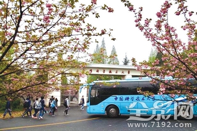 花动一山春色所描绘的情景 花动一山春色的翻译