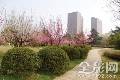 花动一山春色所描绘的情景 花动一山春色的翻译